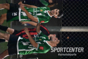 Foto 10