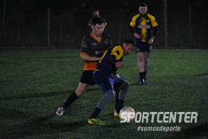 Foto 7