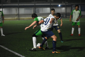 Foto 10