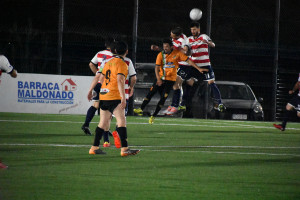 Foto 8