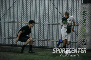 Foto 7