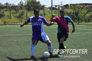 Foto 7