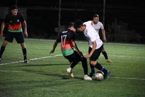 Foto 7