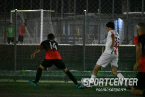 Foto 7