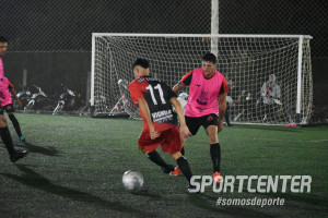 Foto 8