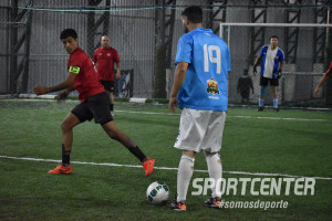 Foto 7