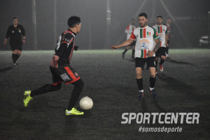 Foto 7